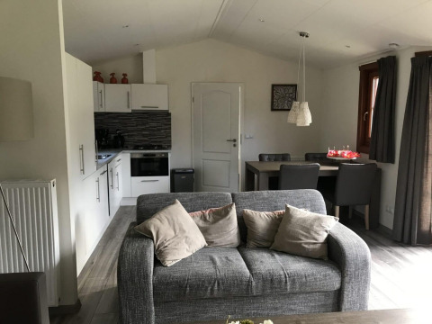 Sala de estar con sofá gris, cocina y comedor en la cabaña Boekhorst 4 de De Achterhoek, Países Bajos.
