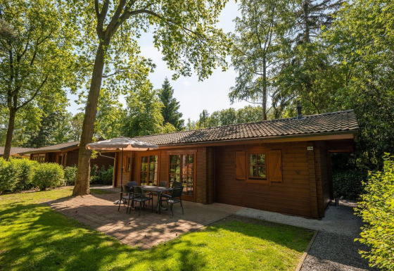 Vista soleada del lodge Boekhorst 6 de madera, rodeado de árboles, terraza exterior con mesa y sillas.