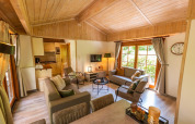 Cozy living room of Boekhorst 6 lodge at De Achterhoek, Netherlands, featuring wooden interior and sofas.