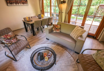 Gezellige woonkamer in lodge Boekhorst 6 bij De Achterhoek, Nederland, met moderne meubels en grote tuindeuren.