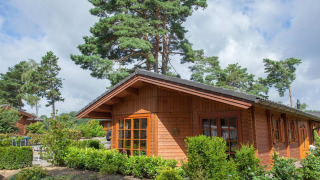 Gemütliche Holzhütte im Grünen mit großen Fenstern, umgeben von Bäumen und einer lebhaften Gartenanlage.