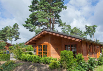 Accogliente lodge in legno immerso tra pini e arbusti, con ampie finestre e un rigoglioso giardino.