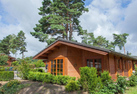 A cozy wooden lodge set among tall pine trees and greenery, featuring large windows and a garden view.