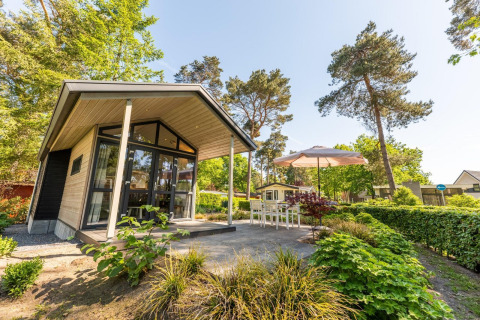 Lodge Tiny House 4 avec grandes fenêtres et terrasse sous parasol, entourée d’arbres et de verdure.