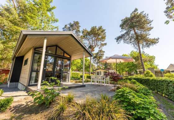 Lodge Tiny House 4 avec grandes fenêtres et terrasse sous parasol, entourée d’arbres et de verdure.