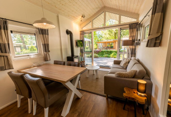 Lyst interiør i en lodge kaldet Tiny House 4 på De Achterhoek i Holland, med udsigt til haven.