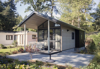 Moderne Tiny House 4-lodge ved De Achterhoek i Holland, omgivet af grønne træer og en terrasse.
