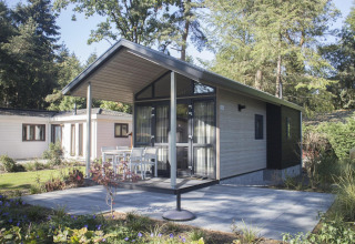 Moderna Tiny House 4 presso De Achterhoek nei Paesi Bassi, con patio e alberi attorno.