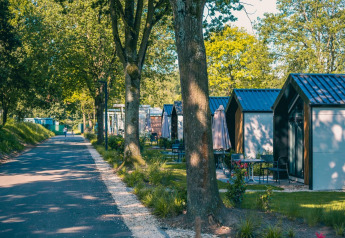 Moderne lodges staan langs een met bomen omzoomd pad in een groene, bosrijke omgeving op een zonnige dag.