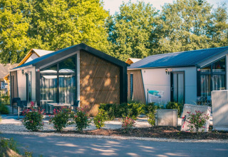 Lodges modernos en Berkel, Kaatsheuvel, Países Bajos, rodeados de árboles verdes y plantas coloridas.