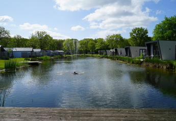Vakantiehuisjes aan een vijver met fontein in Berkel, Kaatsheuvel, Nederland, op een zonnige dag.