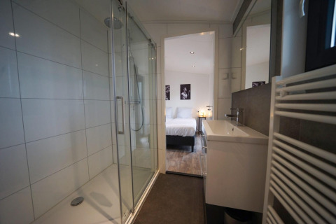 Baño moderno con ducha de vidrio y lavabo, abierto a un dormitorio acogedor en Pavilion Maximaal, Kaatsheuvel.