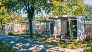 Lodges Tiny Cottage modernes avec terrasses extérieures sous les arbres dans un cadre naturel et ensoleillé.