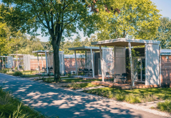 Lodges Tiny Cottage modernes avec terrasses extérieures sous les arbres dans un cadre naturel et ensoleillé.