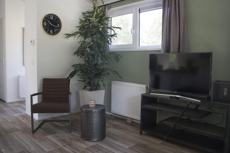 Sala moderna en Chalet Velthorst, Kaatsheuvel, Países Bajos, con sillón, televisión, reloj y planta.