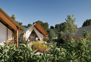 Glamping-telte i naturen ved Kaatsheuvel, Holland, omgivet af grønne planter og træer under blå himmel.