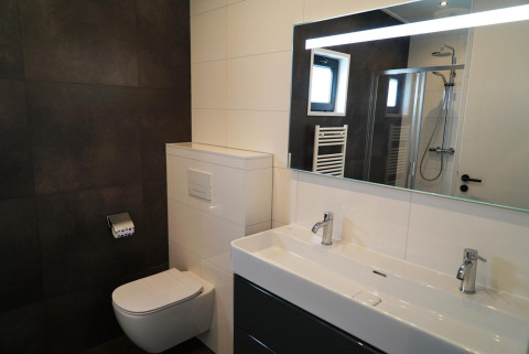 Salle de bain moderne dans une tiny house à Kaatsheuvel, Pays-Bas, avec double vasque et douche vitrée.
