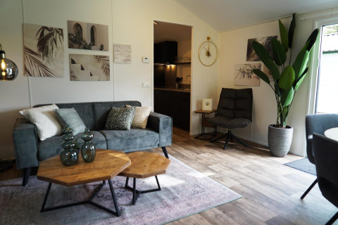 Moderne stue i Kids Adventure cottage, Kaatsheuvel, Holland, med grøn sofa, kunst og stor stueplante.