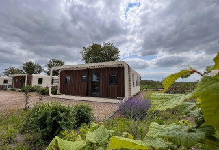 Casa diminuta moderna llamada Modus 6 en Marina Strandbad, Países Bajos, rodeada de naturaleza y plantas verdes.