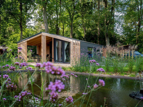 Panorama Cottage 4 au Marina Strandbad, Pays-Bas, entouré d’arbres, de fleurs et d’un étang paisible.