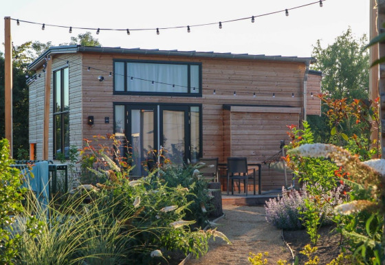 Tiny House 4, una acogedora cabaña con luces, rodeada de jardín exuberante y zona de estar exterior.