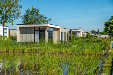 Lodge Cube la Mer 4 de estilo moderno junto al agua, rodeado de vegetación verde y bajo un cielo azul.