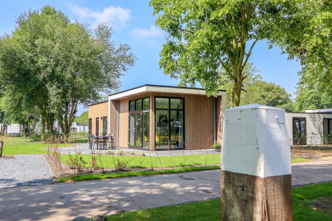Moderne Cube la Mer 4 lodge bij Marina Strandbad in Nederland, omgeven door bomen en een buitenterras.