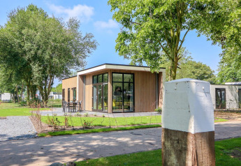 Modern Cube la Mer 4 lodge at Marina Strandbad in the Netherlands, surrounded by trees and outdoor seating.