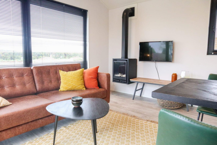 Sala de estar moderna en Wellness Lodge 2 en Marina Strandbad, Países Bajos, con sofá marrón y chimenea