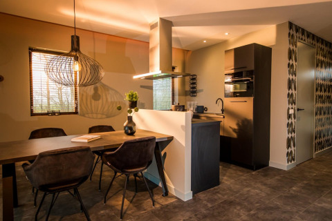 Moderne keuken en eetruimte in lodge Modus 4 aan Marina Strandbad, Nederland, met sfeervolle verlichting.