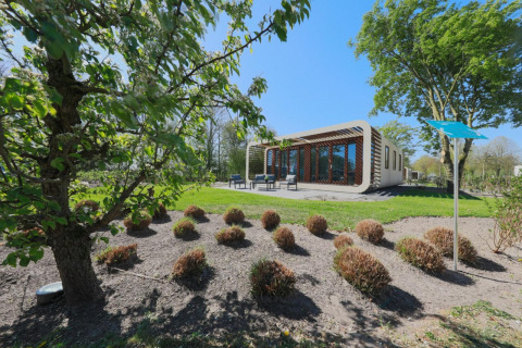 Moderne Modus 4 Lodge bei Marina Strandbad in den Niederlanden, umgeben von Büschen und Bäumen im Sonnenschein.