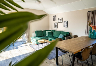 Salon de lodge moderne avec canapé vert, table en bois, œuvres murales et grande plante verte au premier plan.
