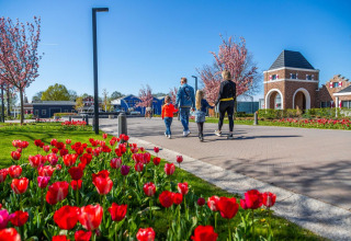 Gezin wandelt hand in hand over een glamping terrein met tulpen, bloesembomen en zonneschijn.