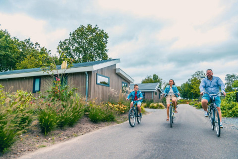 Family riding bicycles along a path at a modern glamping site with wooden cabins and lush greenery around.