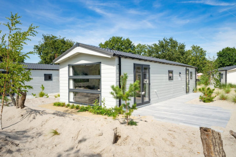 Moderno lodge Berkel 6 allo Zuiderzee nei Paesi Bassi, circondato da sabbia, piante e cielo azzurro.
