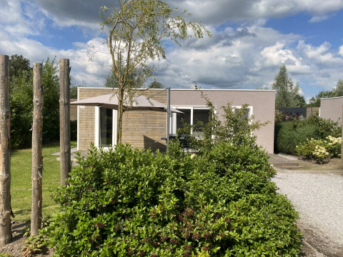 Buitenaanzicht van Cosy Unique 2+4 lodge met modern design, zonnescherm en groene struiken op de voorgrond.