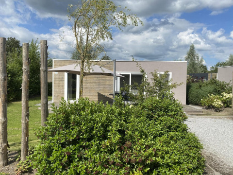 Buitenaanzicht van Cosy Unique 2+4 lodge met modern design, zonnescherm en groene struiken op de voorgrond.