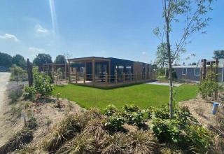Cottage 4 på Zuiderzee i Holland med moderne træterrasse og grønne haver under en klar blå himmel.