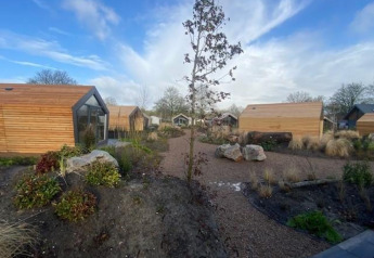 Solo Retreat 2 bij Zuiderzee in Nederland, met moderne houten lodges en een aangelegd tuinlandschap.