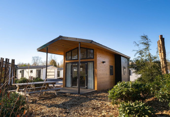 Moderne tiny house lodge aan het Zuiderzee in Nederland, met houten gevel, grote ramen en groene omgeving.