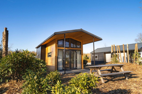 Tiny House 4 lodge bij Zuiderzee in Nederland, houten gevel, picknicktafel voor de lodge, omgeven door groen.