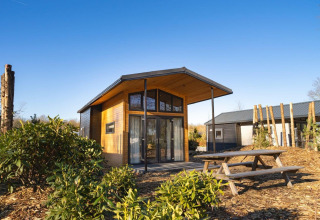 Tiny House 4 lodge bij Zuiderzee in Nederland, houten woning met picknicktafel en plantengroei rondom.