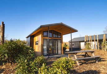 Tiny House 4 lodge bij Zuiderzee in Nederland, houten woning met picknicktafel en plantengroei rondom.