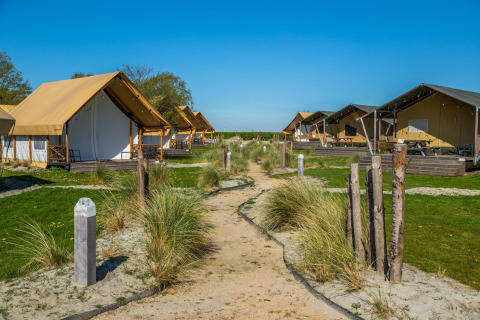 Safari-Glampingzelte bei Zuiderzee, Niederlande, mit Holzdecks und Sandwegen, sonniger Himmel.