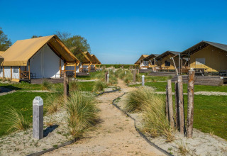 Safari-Glampingzelte bei Zuiderzee, Niederlande, mit Holzdecks und Sandwegen, sonniger Himmel.