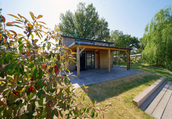 Lodge Tiny House Plus 4 al sole con patio in legno, prato verde e alberi rigogliosi tutt’intorno