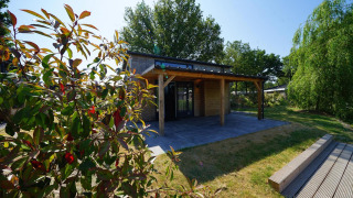 Tiny House Plus 4 lodge in het zonlicht met houten terras, grasveld en omringende groene bomen
