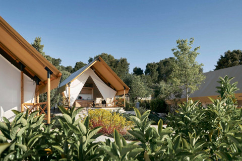 Glamping-accommodatie met luxe tenten, omgeven door groen en bomen onder een heldere hemel.