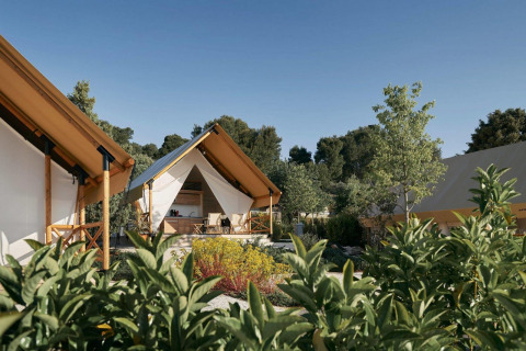 Hébergement glamping avec tentes de luxe entourées de verdure et d’arbres sous un ciel dégagé.
