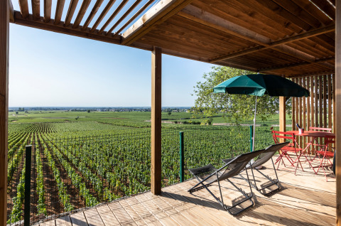 Terraza de madera con tumbonas y sombrilla, con vistas a viñedos verdes en Huttopia Meursault, Francia.